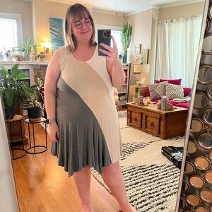 Anthropologie Weston neutral blocked mini knit dress in L